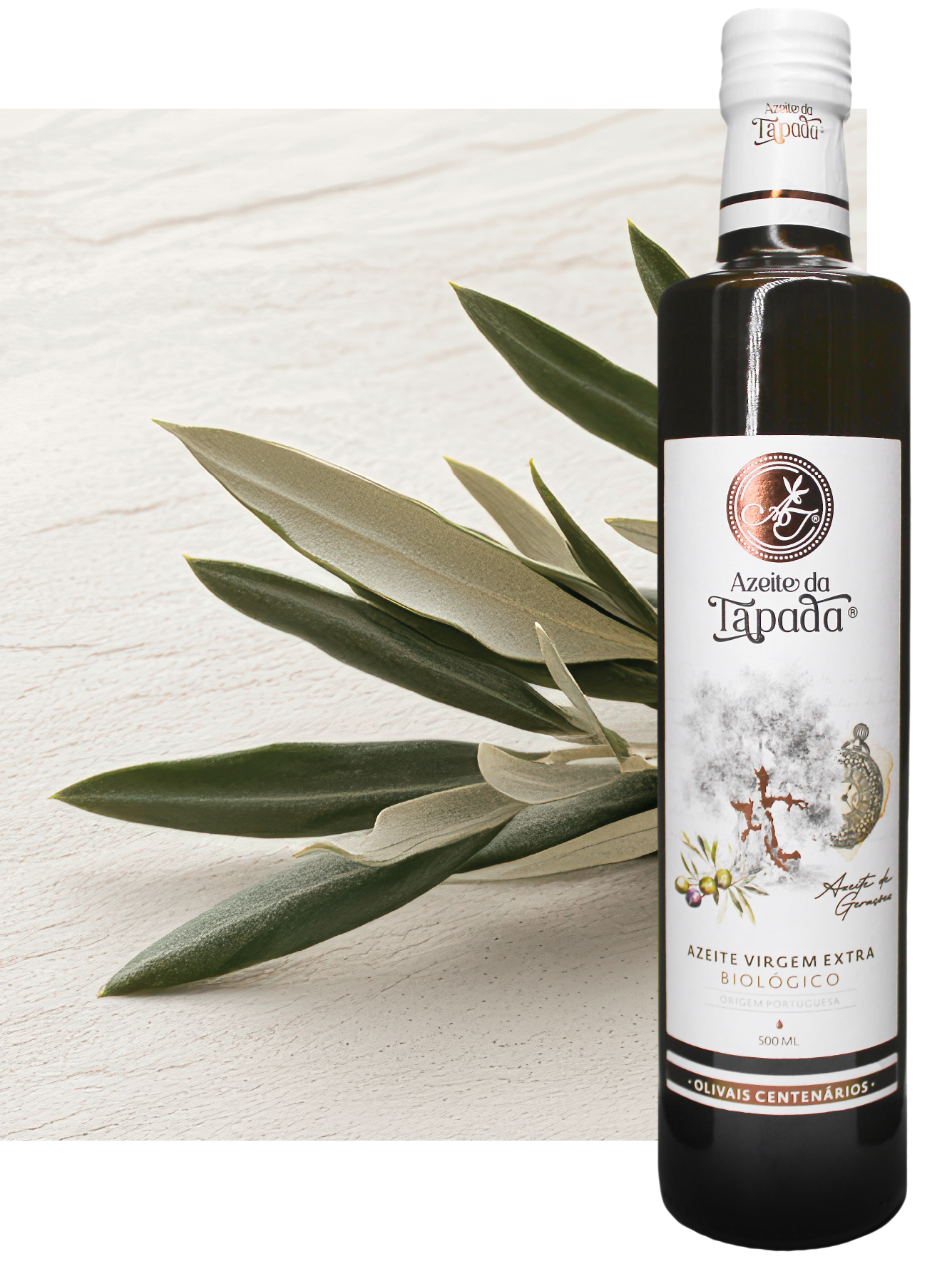 Olivais Centenários