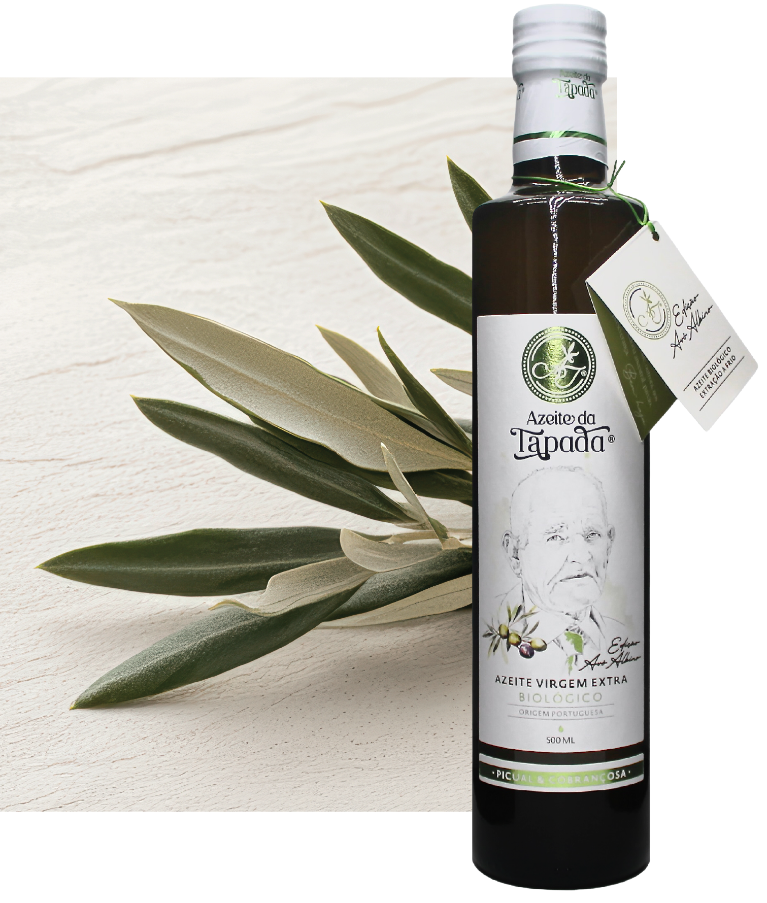 Edição Especial Avô Albino